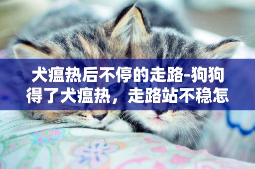 犬瘟熱后不停的走路-狗狗得了犬瘟熱，走路站不穩怎么辦