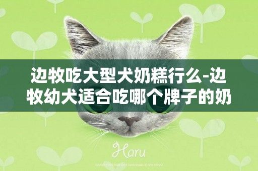 邊牧吃大型犬奶糕行么-邊牧幼犬適合吃哪個牌子的奶糕
