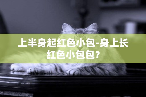 上半身起紅色小包-身上長紅色小包包？