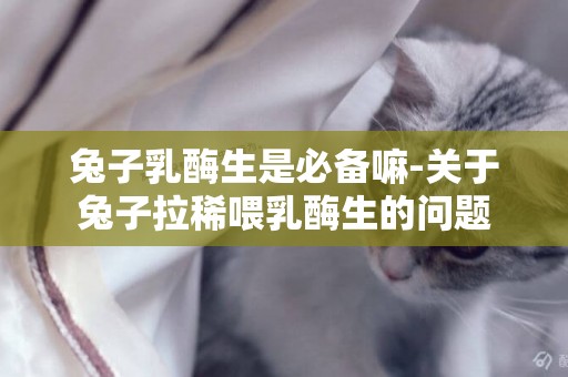 兔子乳酶生是必備嘛-關于兔子拉稀喂乳酶生的問題