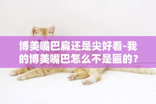 博美嘴巴扁還是尖好看-我的博美嘴巴怎么不是匾的？