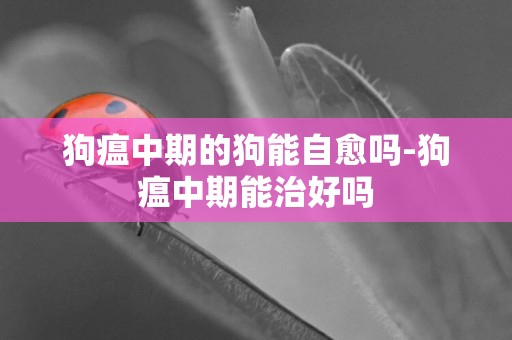 狗瘟中期的狗能自愈嗎-狗瘟中期能治好嗎