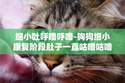 細小吐呼嚕呼嚕-狗狗細小康復階段肚子一直咕嚕咕嚕叫是怎么回事