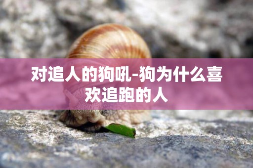 對追人的狗吼-狗為什么喜歡追跑的人