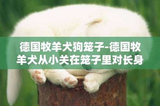 德國牧羊犬狗籠子-德國牧羊犬從小關在籠子里對長身體有多大