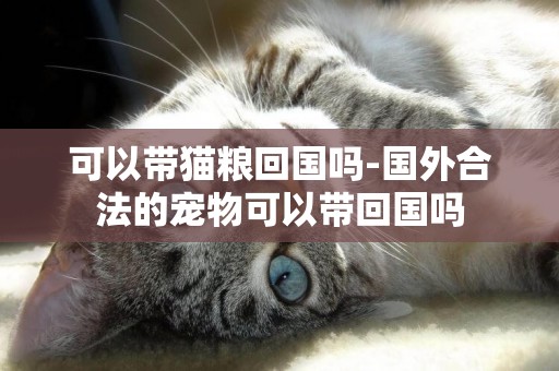 可以帶貓糧回國嗎-國外合法的寵物可以帶回國嗎