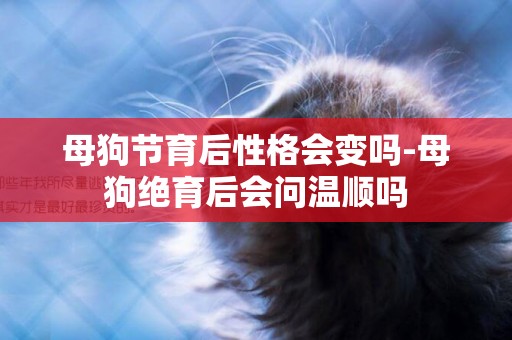 母狗節育后性格會變嗎-母狗絕育后會問溫順嗎