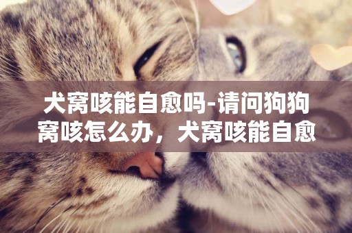 犬窩咳能自愈嗎-請問狗狗窩咳怎么辦，犬窩咳能自愈嗎