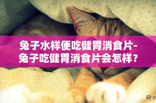 兔子水樣便吃健胃消食片-兔子吃健胃消食片會怎樣？