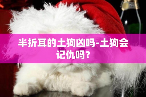 半折耳的土狗兇嗎-土狗會記仇嗎？