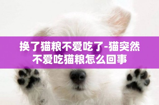 換了貓糧不愛吃了-貓突然不愛吃貓糧怎么回事