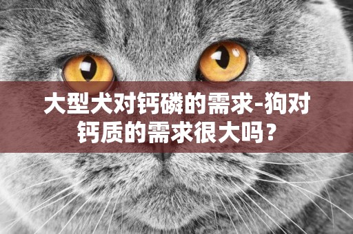 大型犬對鈣磷的需求-狗對鈣質的需求很大嗎？