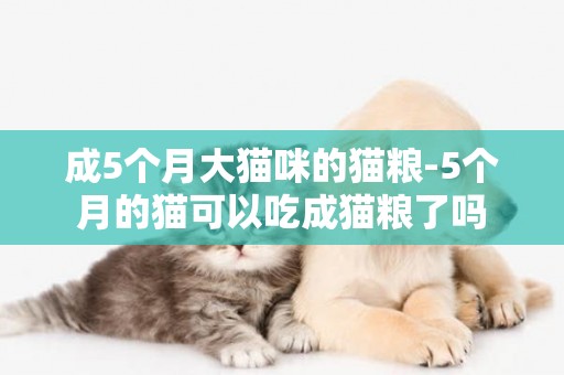 成5個月大貓咪的貓糧-5個月的貓可以吃成貓糧了嗎