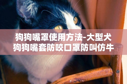 狗狗嘴罩使用方法-大型犬狗狗嘴套防咬口罩防叫仿牛皮嘴罩 寵物用品亂吃可調節包郵怎么用