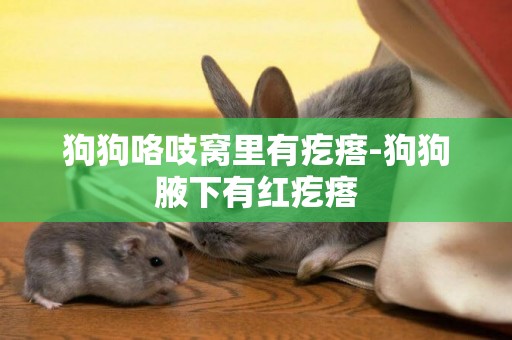 狗狗咯吱窩里有疙瘩-狗狗腋下有紅疙瘩