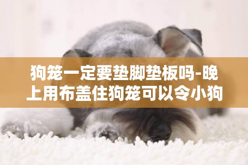 狗籠一定要墊腳墊板嗎-晚上用布蓋住狗籠可以令小狗不叫嗎