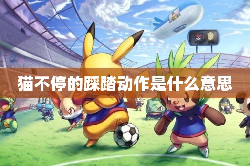 貓不停的踩踏動作是什么意思