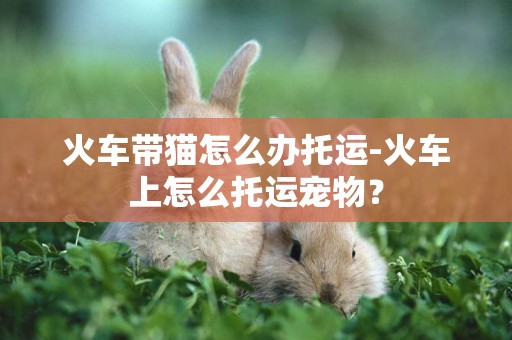 火車帶貓怎么辦托運-火車上怎么托運寵物？