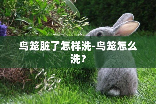 鳥籠臟了怎樣洗-鳥籠怎么洗？