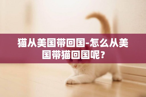 貓從美國帶回國-怎么從美國帶貓回國呢？