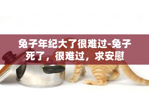 兔子年紀大了很難過-兔子死了，很難過，求安慰