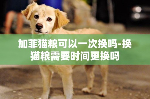 加菲貓糧可以一次換嗎-換貓糧需要時間更換嗎