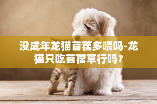 沒成年龍貓苜蓿多喂嗎-龍貓只吃苜蓿草行嗎？