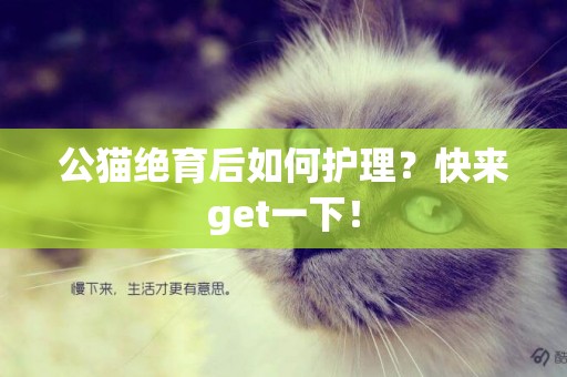 公貓絕育后如何護理？快來get一下！