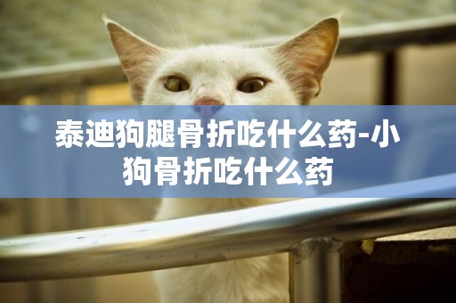 泰迪狗腿骨折吃什么藥-小狗骨折吃什么藥