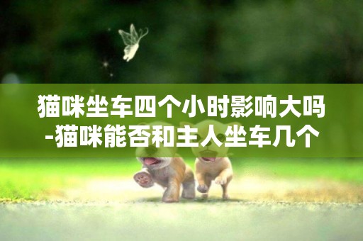 貓咪坐車四個小時影響大嗎-貓咪能否和主人坐車幾個小時然后在新環境里住兩天？