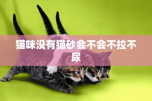 貓咪沒有貓砂會不會不拉不尿