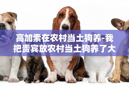 高加索在農村當土狗養-我把貴賓放農村當土狗養了大半年
