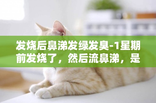 發燒后鼻涕發綠發臭-1星期前發燒了，然后流鼻涕，是黃色的，還有臭雞蛋味，吃了藥打了針退了燒，鼻涕一直