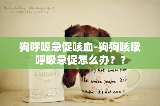 狗呼吸急促咳血-狗狗咳嗽呼吸急促怎么辦？？