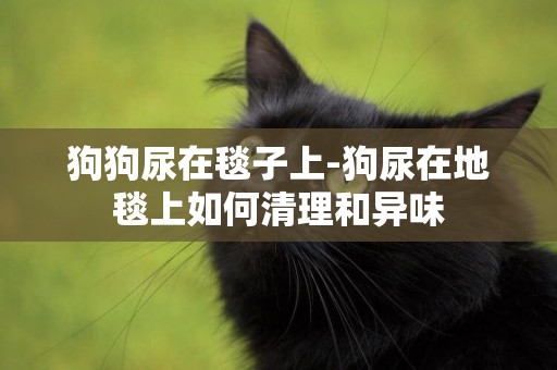 狗狗尿在毯子上-狗尿在地毯上如何清理和異味