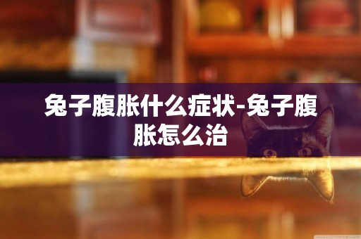 兔子腹脹什么癥狀-兔子腹脹怎么治