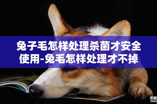 兔子毛怎樣處理殺菌才安全使用-兔毛怎樣處理才不掉毛