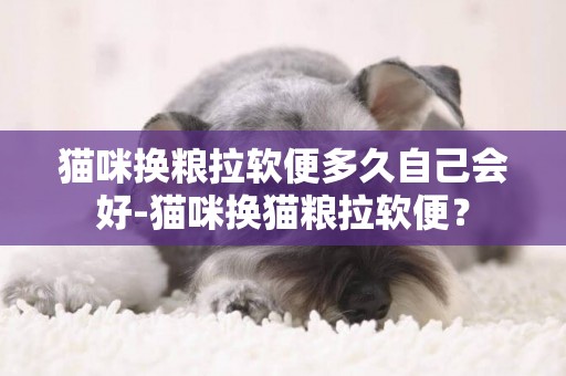 貓咪換糧拉軟便多久自己會好-貓咪換貓糧拉軟便？