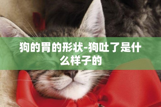 狗的胃的形狀-狗吐了是什么樣子的