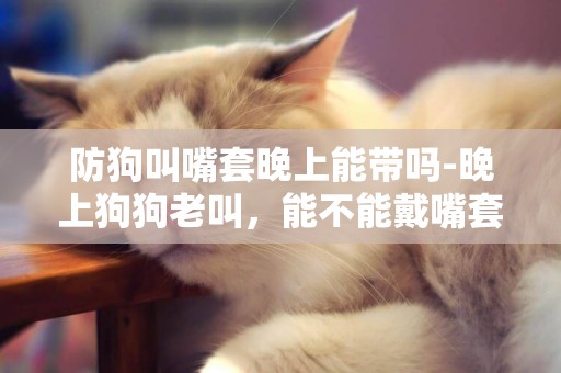 防狗叫嘴套晚上能帶嗎-晚上狗狗老叫，能不能戴嘴套