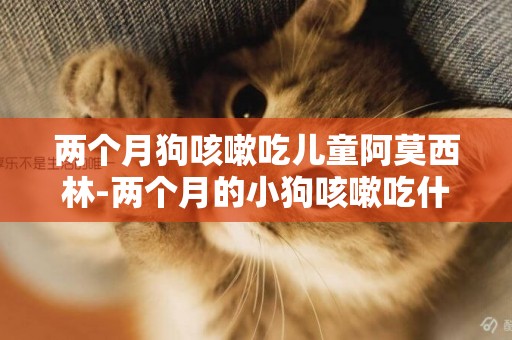 兩個月狗咳嗽吃兒童阿莫西林-兩個月的小狗咳嗽吃什么消炎藥