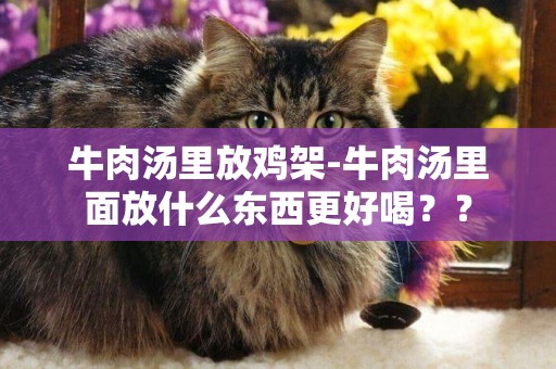 牛肉湯里放雞架-牛肉湯里面放什么東西更好喝？？