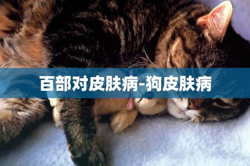 百部對皮膚病-狗皮膚病