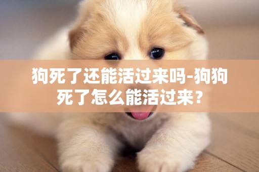 狗死了還能活過來嗎-狗狗死了怎么能活過來？