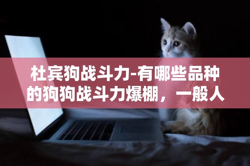 杜賓狗戰斗力-有哪些品種的狗狗戰斗力爆棚，一般人都打不過它們？