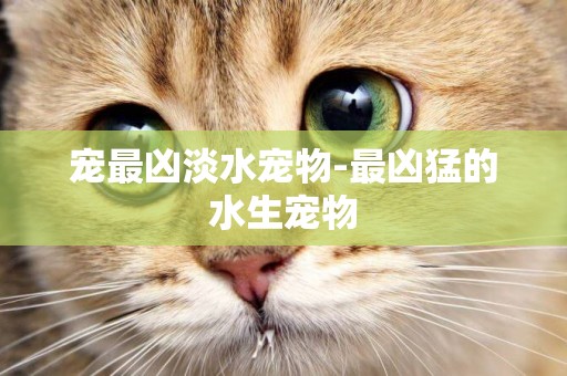寵最兇淡水寵物-最兇猛的水生寵物