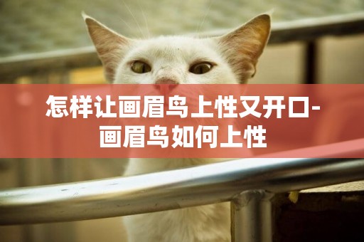 怎樣讓畫眉鳥上性又開口-畫眉鳥如何上性