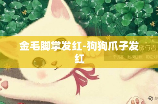 金毛腳掌發紅-狗狗爪子發紅