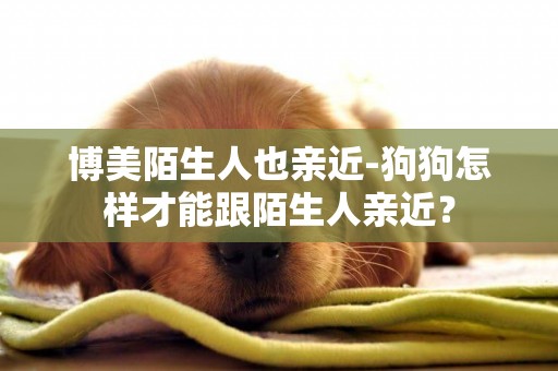 博美陌生人也親近-狗狗怎樣才能跟陌生人親近？