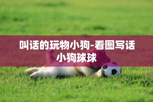 叫話的玩物小狗-看圖寫話小狗球球